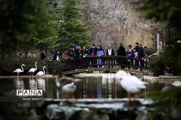 باغ پرندگان تهران در نوروز 98