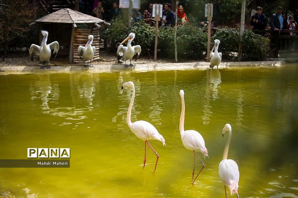باغ پرندگان تهران در نوروز 98
