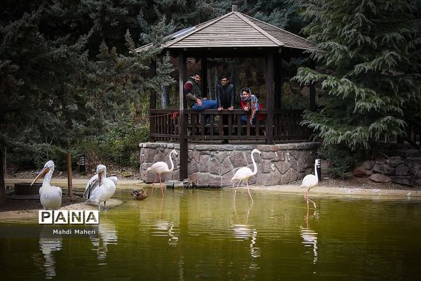 باغ پرندگان تهران در نوروز 98