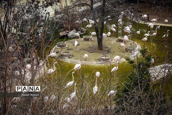 باغ پرندگان تهران در نوروز 98
