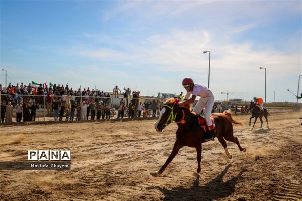 برگزاری مسابقات کورس اسب دوانی براق اروند  به میزبانی منطقه آزاد اروند