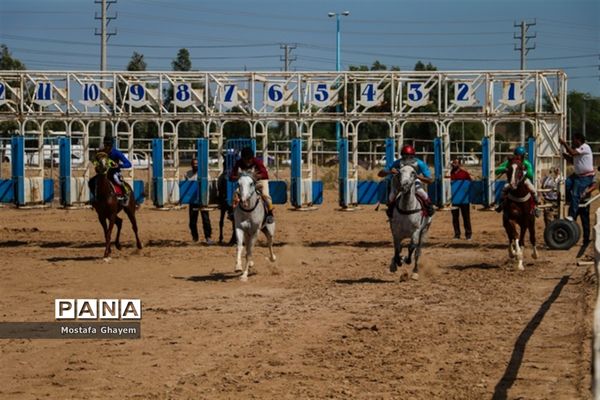 برگزاری مسابقات کورس اسب دوانی براق اروند  به میزبانی منطقه آزاد اروند