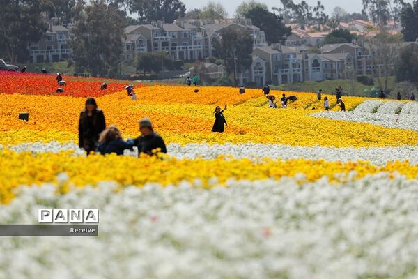 شروع فصل بهار در نیم کره شمالی