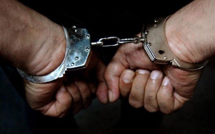 افزایش ۲۴ درصدی کشف سرقت در شاهرود