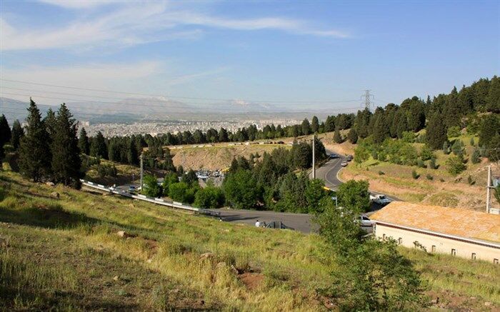 خرازیان: احتمالاً تلفات اخیر حیات وحش در پارک ملی بر اثر سرما بوده است