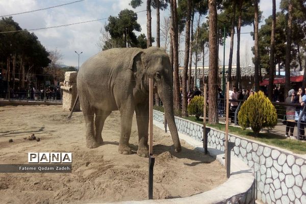 باغ وحش ارم تهران