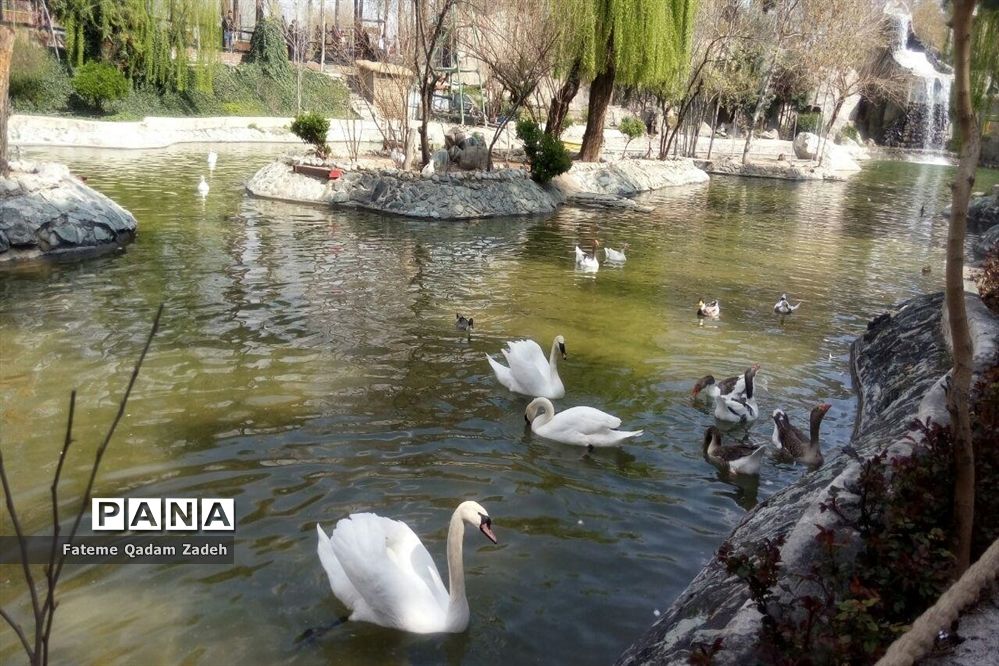 باغ وحش ارم تهران