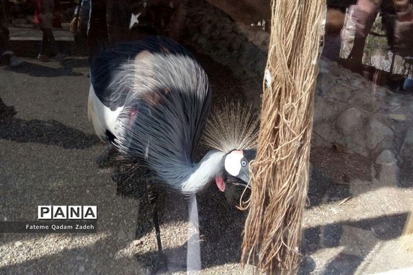 باغ وحش ارم تهران