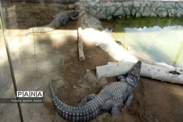 باغ وحش ارم تهران