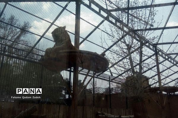 باغ وحش ارم تهران