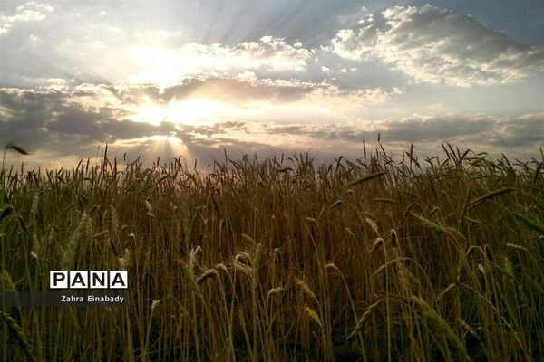 طبیعت زیبای روستای عین‌آباد دراستان همدان