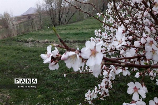 طبیعت زیبای روستای عین‌آباد دراستان همدان