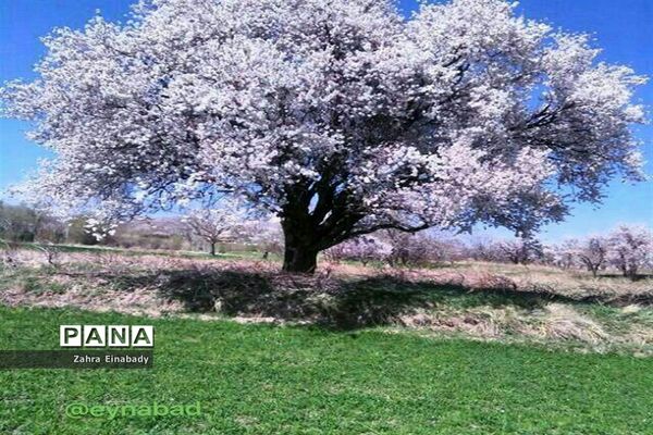 طبیعت زیبای روستای عین‌آباد دراستان همدان