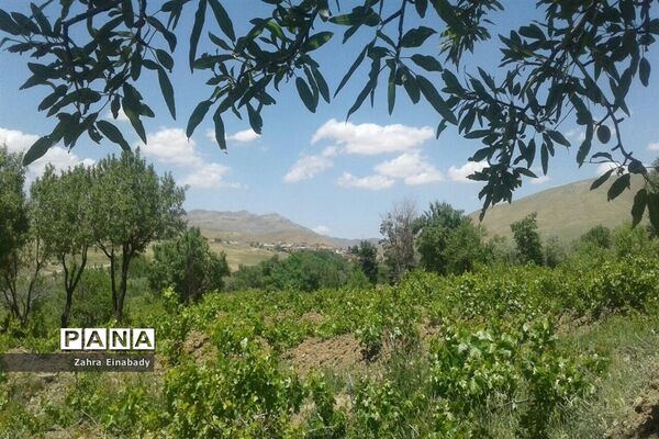 طبیعت زیبای روستای عین‌آباد دراستان همدان