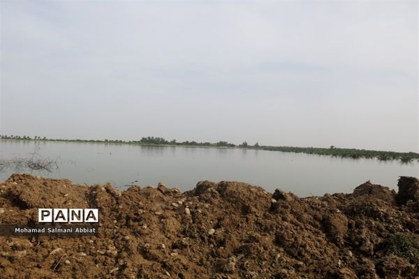 تلاش اهالی روستای ملیحان اهواز برای ترمیم سیل بند