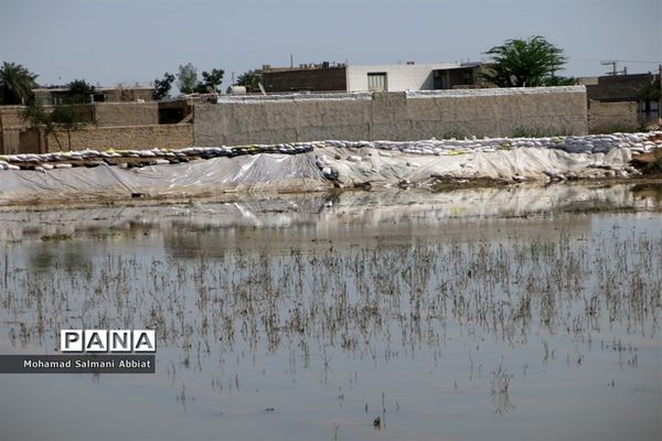 روز آرام کرخه