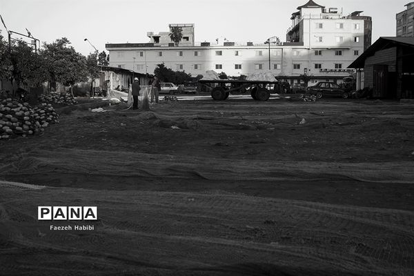 زندگی مردان سختکوش دریایی