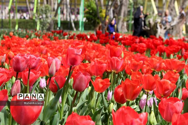 باغ لاله های کرج