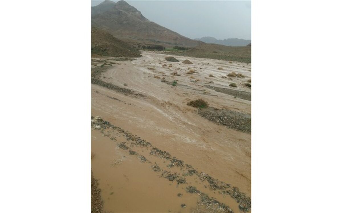 کارشناس هواشناسی استان خراسان جنوبی  :تشدید فعالیت سامانه بارشی در خراسان جنوبی