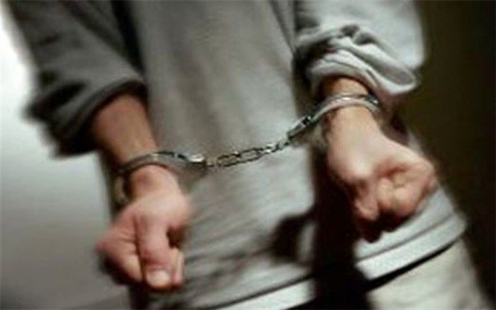 دوستی اینستاگرامی کارگر رستوران و دختر پولدار به دزدی از گاوصندق منجرشد