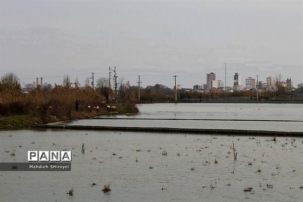 مرگ تدریجی مازندران