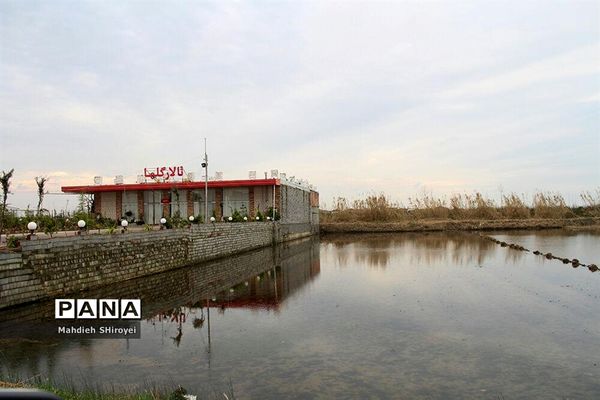 مرگ تدریجی مازندران