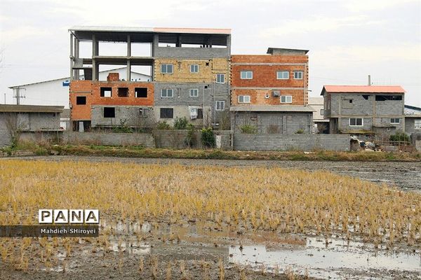 مرگ تدریجی مازندران