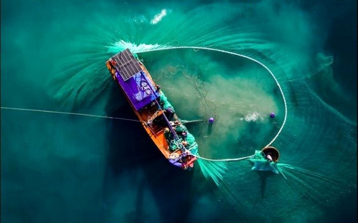 نمایی متفاوت از صید در عکس روز نشنال جئوگرافیک