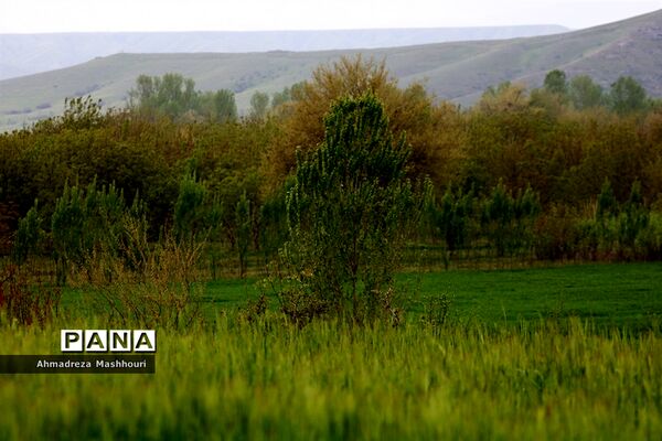 بازدید اصحاب رسانه از منطقه  ارسباران