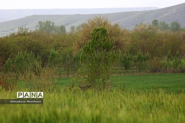 بازدید اصحاب رسانه از منطقه  ارسباران