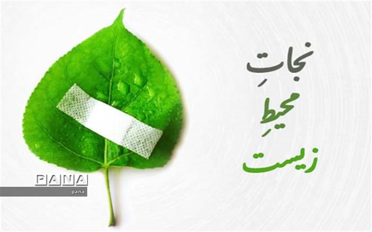دستگیری دو شکارچی غیر مجاز در کاشان