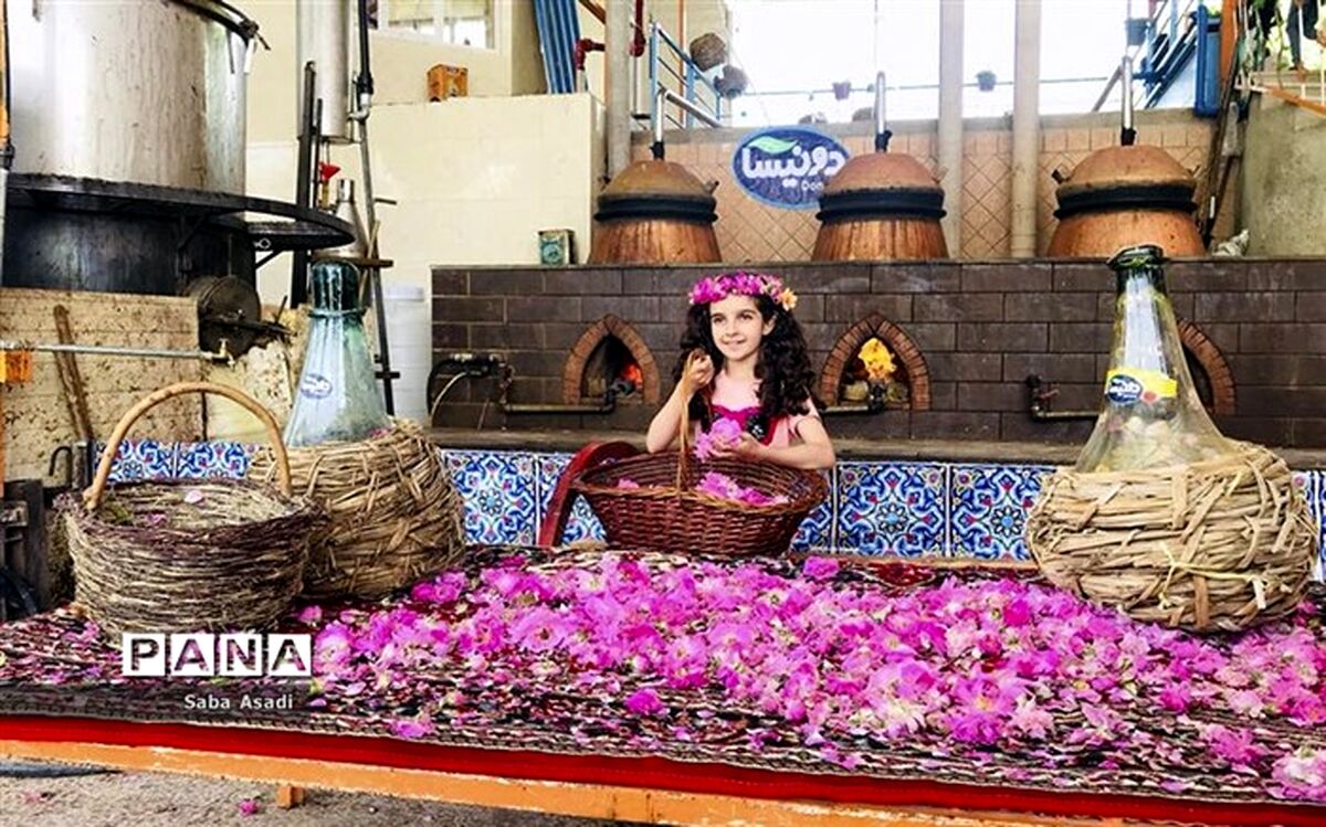 رایحه هفدهمین جشنواره گل و گلاب در فرهنگسرای اشراق می‌پیچد