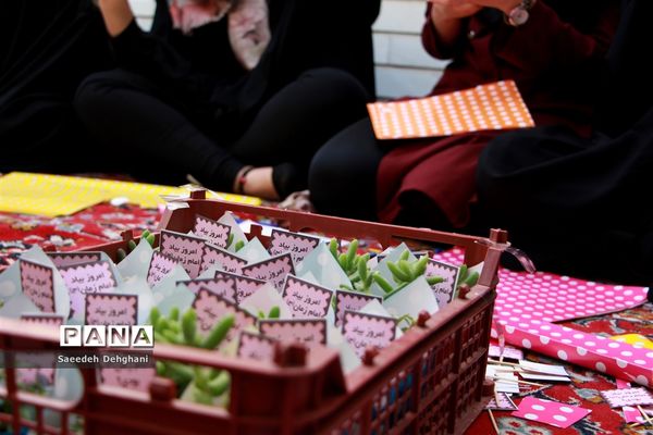 جشن و سرور مردم شیراز در شب میلاد حضرت مهدی (عج)