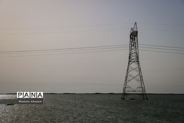 آب گرفتگی مسیراهواز_آبادان و ماهیگیری مردم از تالابها