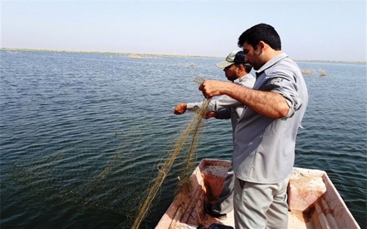 جمع آوری   300 متر تور صیادی غیرقانونی در میاندوآب