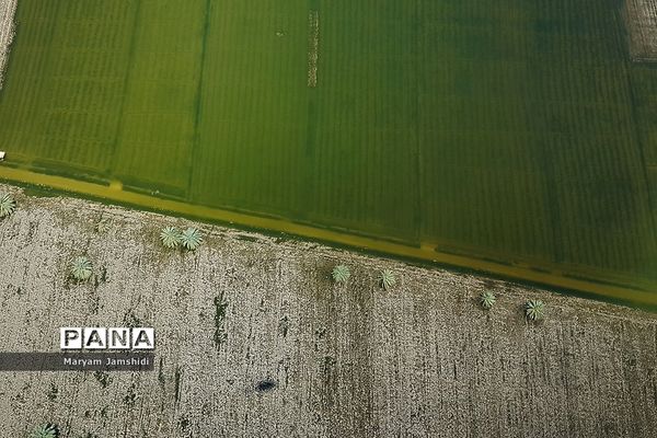 تصاویر هوایی از آخرین وضع مناطق سیل‌زده در لرستان و خوزستان