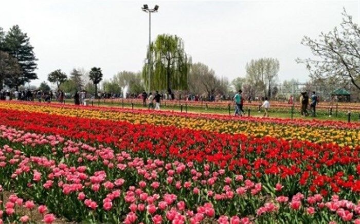 درصددیم ارومیه را به عنوان شهر گل معرفی کنیم