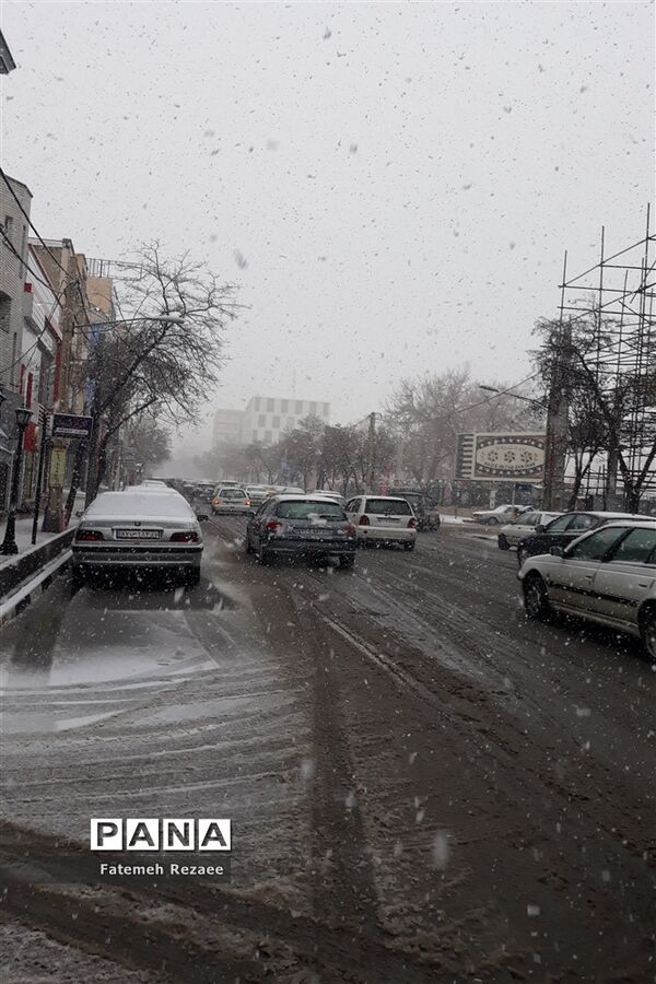 بارش برف بهاری