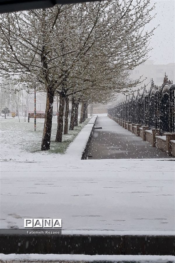 بارش برف بهاری