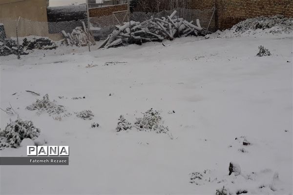 بارش برف بهاری