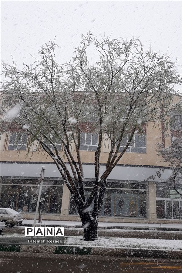 بارش برف بهاری