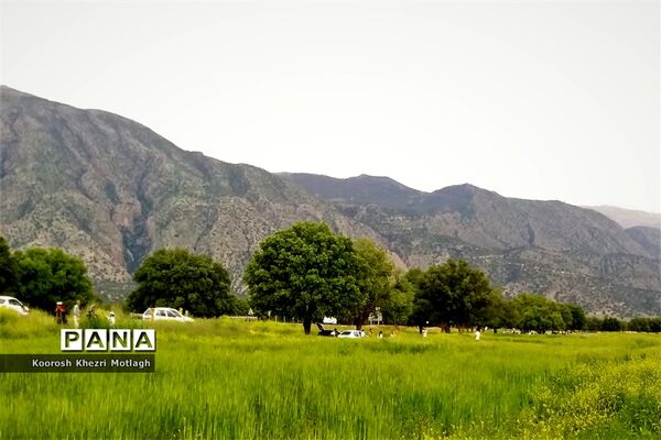 طبیعت زیبای دشت بَرم کازرون