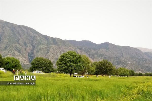 طبیعت زیبای دشت بَرم کازرون