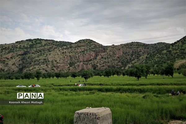 طبیعت زیبای دشت بَرم کازرون