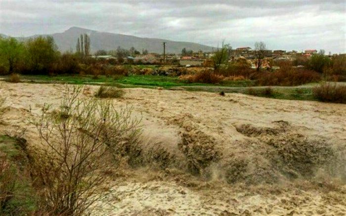 سیلاب بیش از 4 میلیارد ریال به کشاورزی دامغان خسارت زد