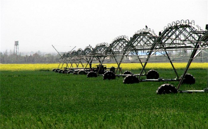 بهره‌برداران شهرستان الوند با  روش‌های مدیریت آبیاری در مزارع کشاورزی آشنا شدند