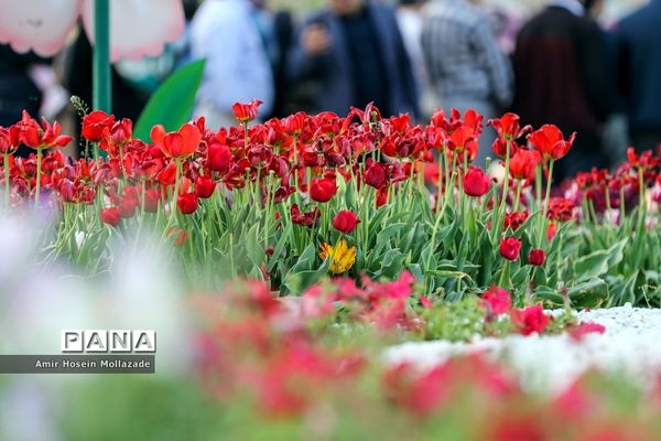 نهمین جشنواره گل‌ها در ارومیه