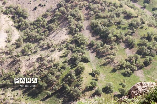 طبیعت زیبای تنگه سرخ سپیدان و یاسوج