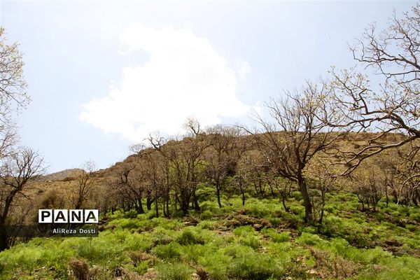 طبیعت زیبای تنگه سرخ سپیدان و یاسوج