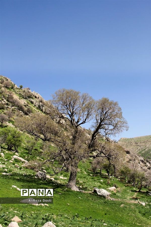 طبیعت زیبای تنگه سرخ سپیدان و یاسوج